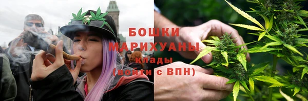 гашик Ельня
