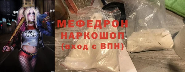 гашик Ельня