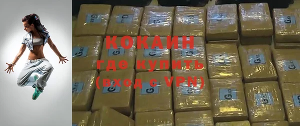 гашик Ельня