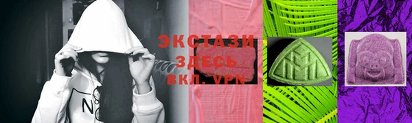 гашик Ельня