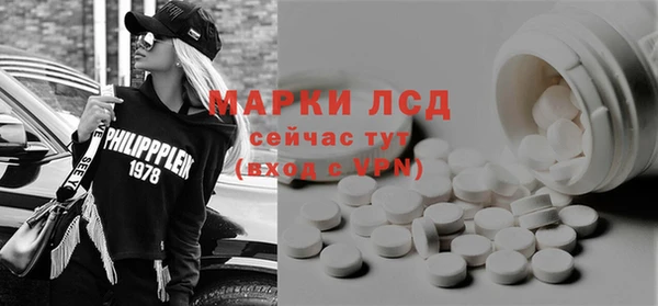 гашик Ельня