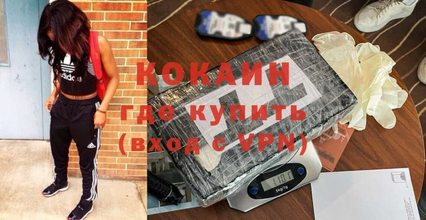 гашик Ельня