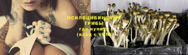 спиды Елабуга