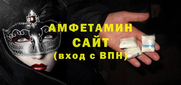 гашик Ельня