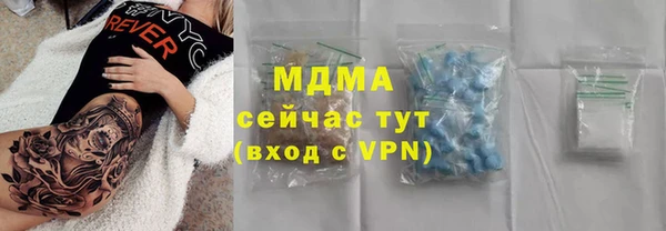 гашик Ельня