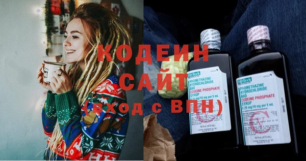 гашик Ельня