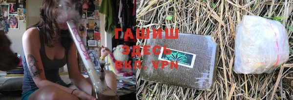 гашик Ельня