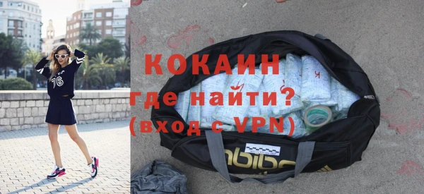 гашик Ельня