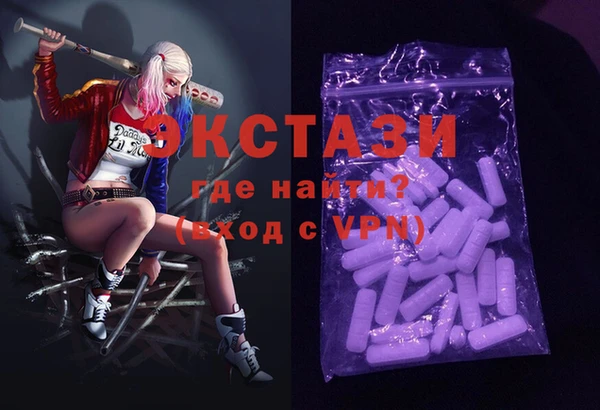 гашик Ельня