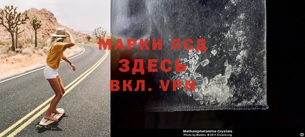 гашик Ельня