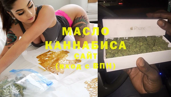 гашик Ельня