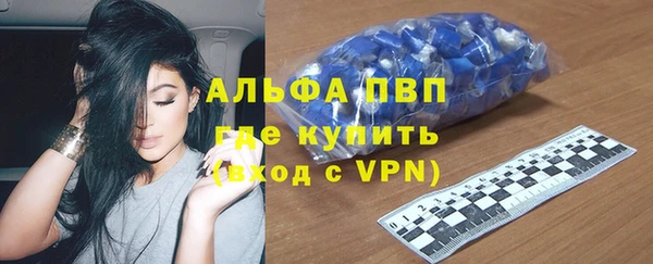 гашик Ельня