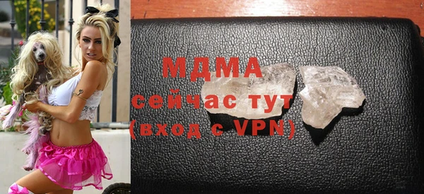 гашик Ельня